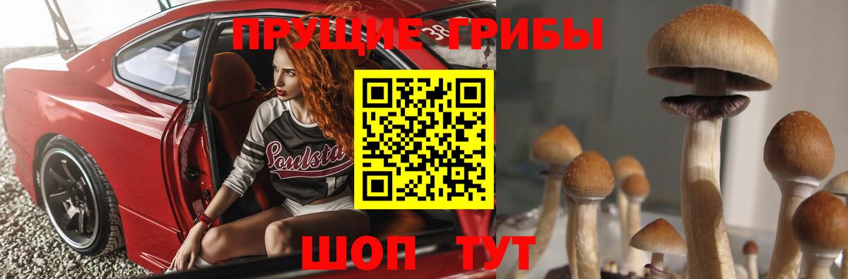 Кропоткин  Галлюциногенные грибы ЛСД  Вход с VPN 